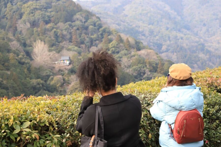 Kyoto Arashiyama Bamboo Forest Customized Private Tour - Okochi Sanso Garden and Nisonin: the garden side of Arashiyama
