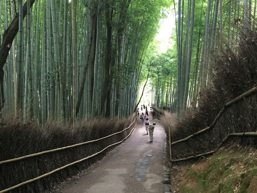Kyoto Arashiyama Bamboo Forest Customized Private Tour - Nenbutsu-ji and the statue stops: quiet, strange, memorable