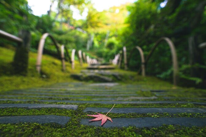 Kyoto Arashiyama Bamboo forest & Garden Half-Day Walking Tour - Togetsukyo Bridge Lunch: The Best Reason to Trust the Plan