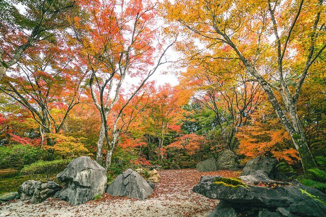 Kyoto Arashiyama Bamboo forest & Garden Half-Day Walking Tour - Tenryu-ji Temple: World Heritage Time with Guide Commentary