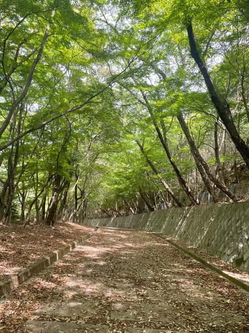 Kyoto: Arashiyama Bamboo Forest Hiking Tour - Safety and insurance: a quiet reassurance