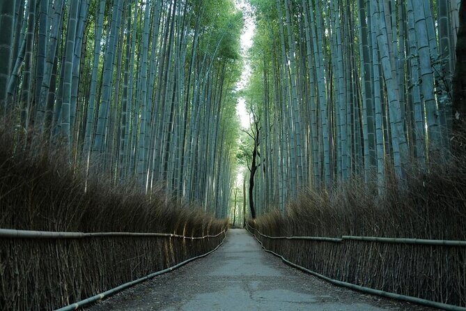 Kyoto Arashiyama Bamboo Forest Hiking Tour（Hidden Temples） - Key things to know before you go