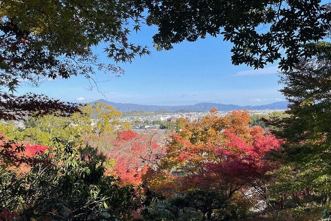 Kyoto Arashiyama Bamboo Forest Hiking Tour（Hidden Temples） - Arashiyama’s bamboo forest is a maze without a plan