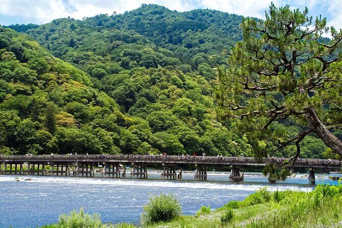 Kyoto: Arashiyama Bamboo Forest, Monkeys, Matcha & Temple Tour - Key highlights you’ll feel fast