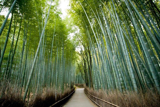 Kyoto Arashiyama Bamboo Forest & Scenery Customized Private Tour - Key planning points before you go