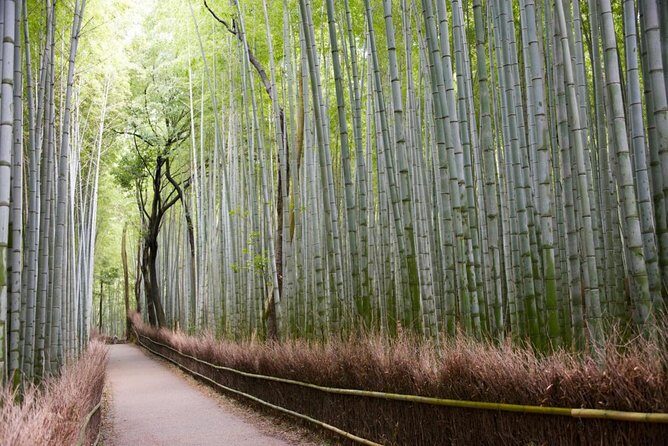 Kyoto Arashiyama Bamboo Forest & Scenery Customized Private Tour - Togetsukyo Bridge to Tenryu-ji: the fast win combo