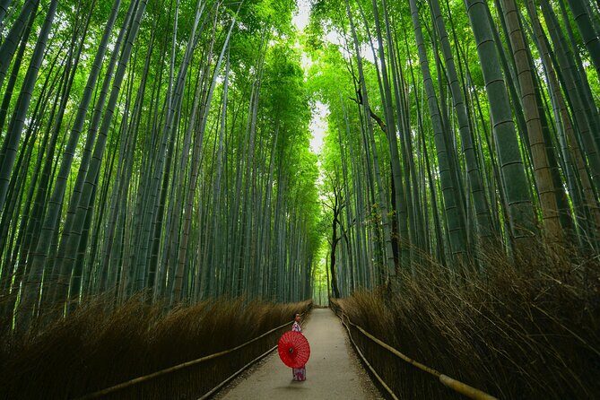 Kyoto: Arashiyama Bamboo, Temple, Matcha, Monkeys & secret spots - Stop 3: Tenryu-ji Temple—ponds, nature, and the temple rhythm