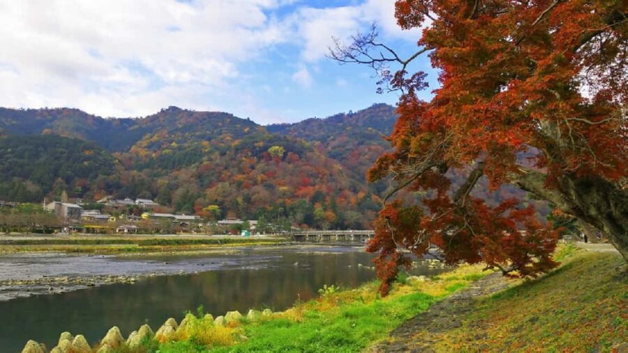Kyoto: Arashiyama Bamboo, Togetsukyo bridge, Sanso, and more - Tenryuji Temple and its Zen garden: what you’re really looking for