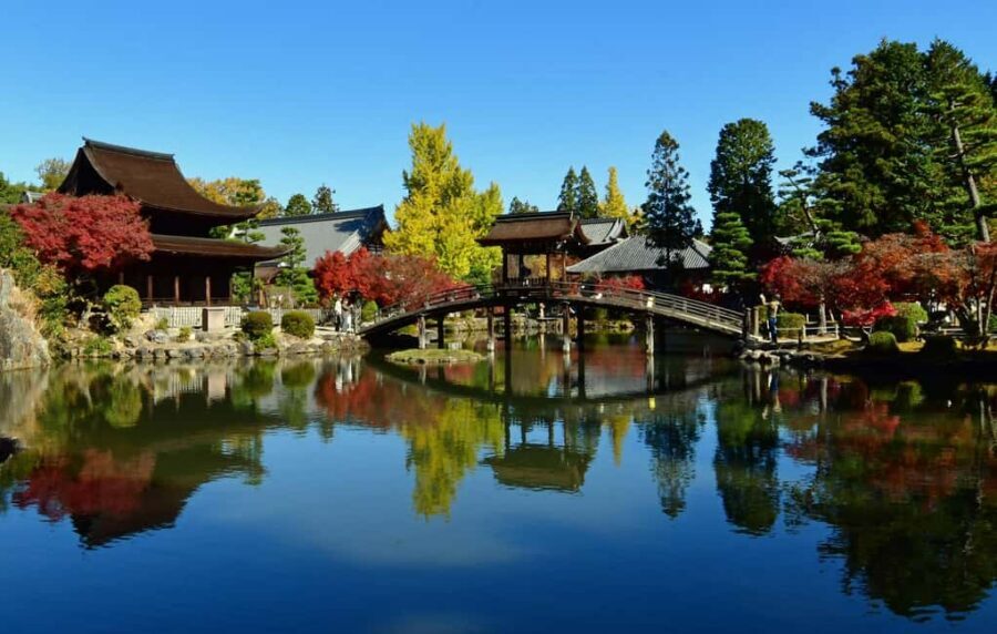 Kyoto: Arashiyama Bamboo, Togetsukyo bridge, Sanso, and more - Kimono Forest: illuminated modern art at the end of the walk
