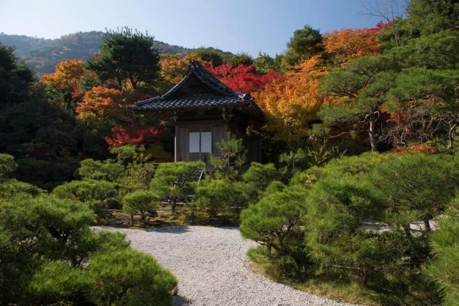 Kyoto: Arashiyama Bamboo, Togetsukyo bridge, Sanso, and more - Sagano Bamboo Forest: how to see it without losing time