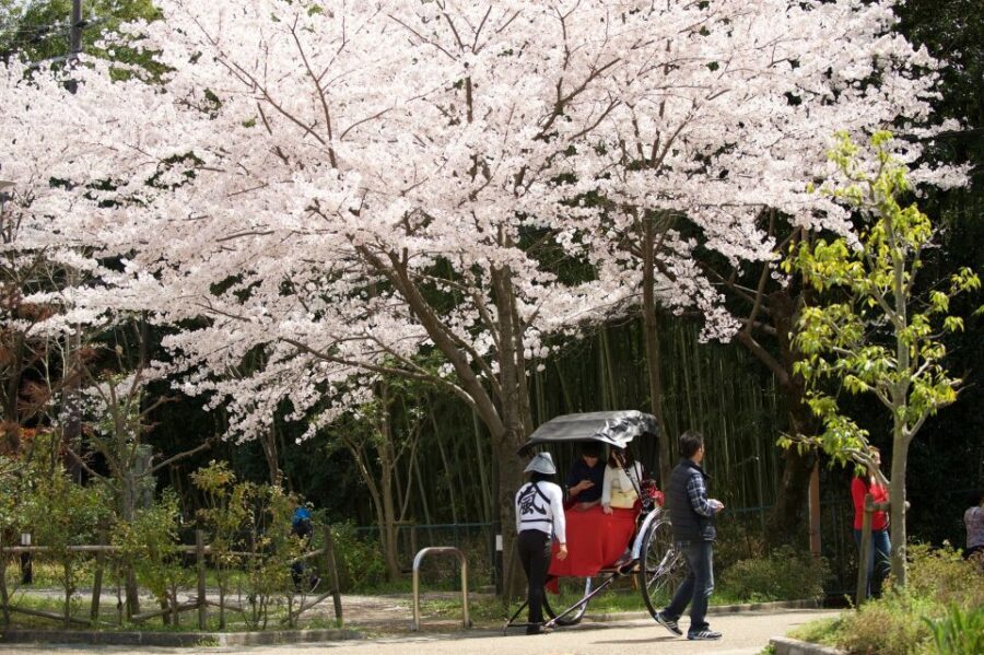 Kyoto: Arashiyama Customized Rickshaw Tour & Bamboo Forest - Guide power: customization, conversation, and the “photo pro” effect