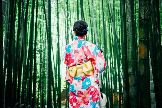 Kyoto: Arashiyama Early Access Bamboo & Temple Tour - Key things I’d highlight before you go