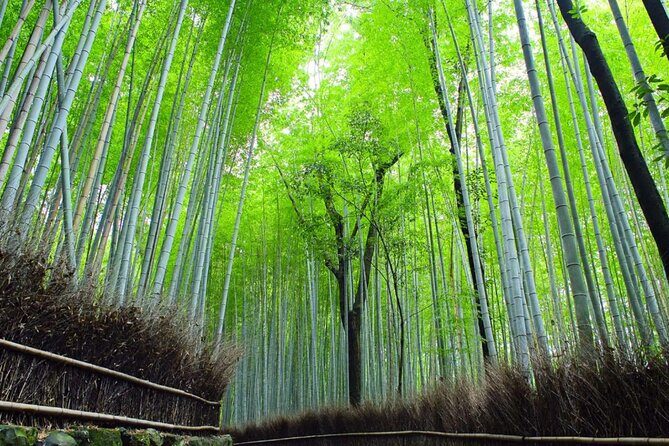Kyoto: Arashiyama Early Access Bamboo & Temple Tour - Private tour perks: small group energy without the crowd math