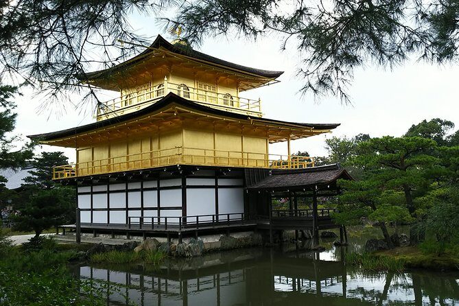 Kyoto Arashiyama & Golden Pavilion One-Day Walking Tour - Monkey Park Iwatayama: a short climb for big payoff