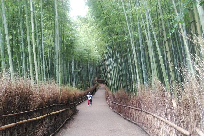Kyoto Arashiyama & Golden Pavilion One-Day Walking Tour - Bamboo Forest Street: serenity, but manage your expectations