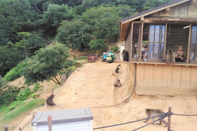 Kyoto Arashiyama & Golden Pavilion One-Day Walking Tour - What you really pay: the $128.35 price plus extras