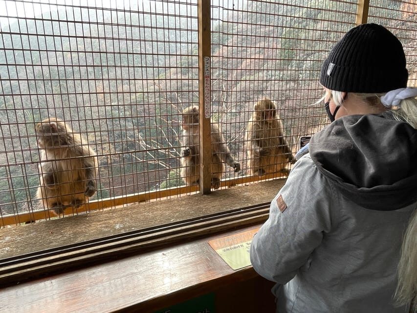 Kyoto: Arashiyama Guided Tour, Bamboo, Monkey, Zen Temple - Tenryu-ji Temple in the gardens: UNESCO time that’s not rushed