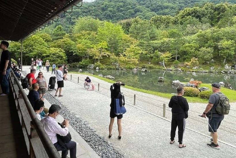 Kyoto: Arashiyama Guided Tour, Bamboo, Monkey, Zen Temple - Iwatayama Monkey Park: wild macaques and big views