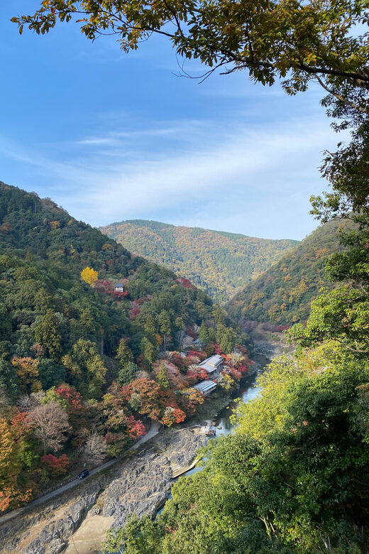 Kyoto: Arashiyama Guided Tour, Bamboo, Monkey, Zen Temple - Bamboo Forest Path: what you should notice on the walk