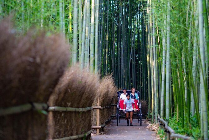 Kyoto Arashiyama Rickshaw Tour with Bamboo Forest - Price and Value: What $86.88 Buys You in Kyoto Time