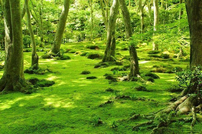 Kyoto Arashiyama & Sagano Bamboo Private Tour with Government-Licensed Guide - Sagano’s North Side: Daikaku-ji, Yoshiminedera, and Mountain Temple Views