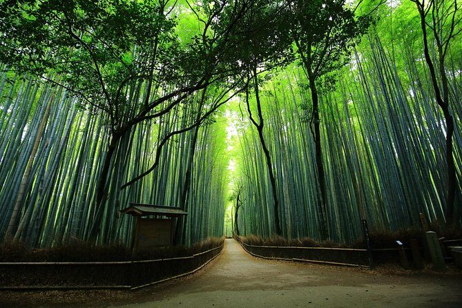 Kyoto Arashiyama & Sagano Bamboo Private Tour with Government-Licensed Guide - Arashiyama’s Famous Walks: Togetsukyo Bridge and Bamboo Forest Street
