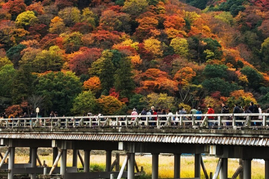 Kyoto: Arashiyama Tour with optional Sagano Romantic Train - The Sagano Romantic Train: A scenic way to start Kyoto’s Arashiyama day