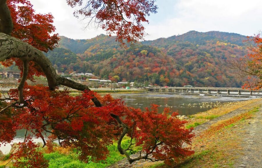 Kyoto: Arashiyama Tour with optional Sagano Romantic Train - Who this Arashiyama tour fits best (and who should skip it)