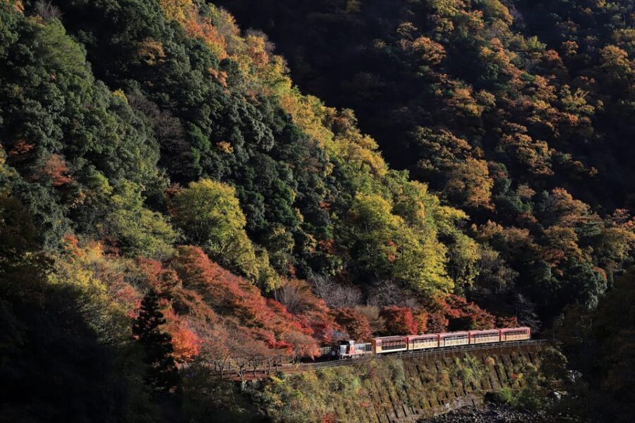 Kyoto: Arashiyama Tour with optional Sagano Romantic Train - Mikami Shrine: A short stop with a clear cultural hook