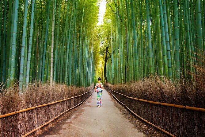 Kyoto Arashiyama Walking Tour: Bamboo, Monkeys, Gardens & Secrets - Why Arashiyama needs a plan
