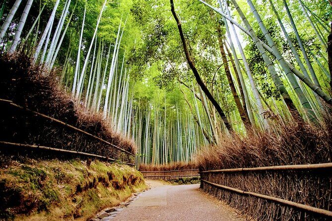 Kyoto Arashiyama Walking Tour: Bamboo, Monkeys, Gardens & Secrets - Togetsukyo Bridge and river views: the quick visual payoff