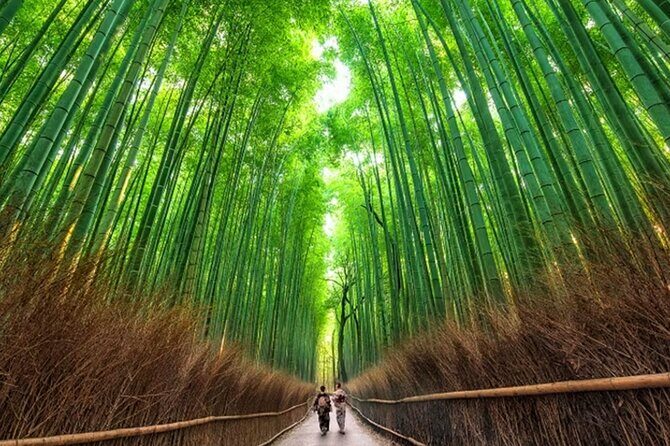 Kyoto: Arashiyama Walking Tour – UNESCO World Heritage - Key Points You’ll Care About