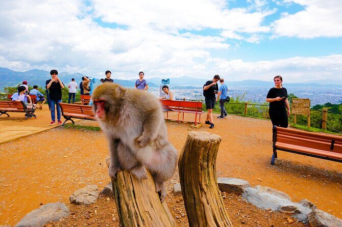 Kyoto: Arashiyama Walking Tour – UNESCO World Heritage - The 90-Minute Plan That Works in Arashiyama