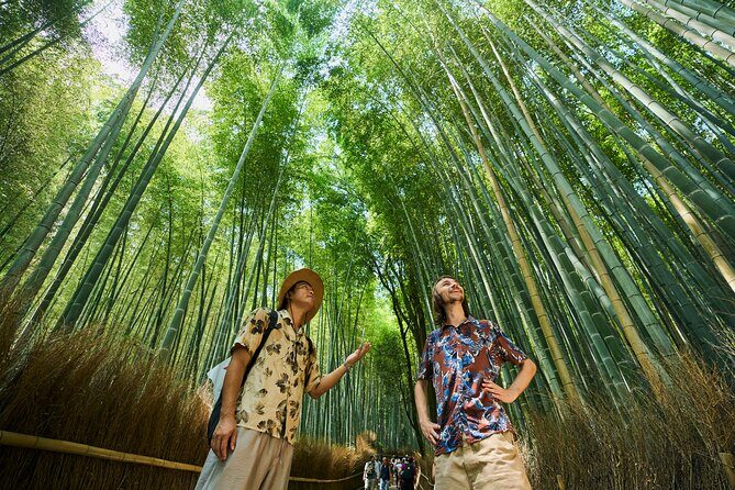 Kyoto: Arashiyama Walking Tour – UNESCO World Heritage - Meeting Point Near Randenarashiyamaekikita (and How the Flow Feels)