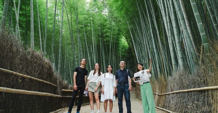 Kyoto: Arashiyama Walking Tour with Local Guide - The Bamboo Forest Walk: What to Watch For (Not Just What to Photograph)