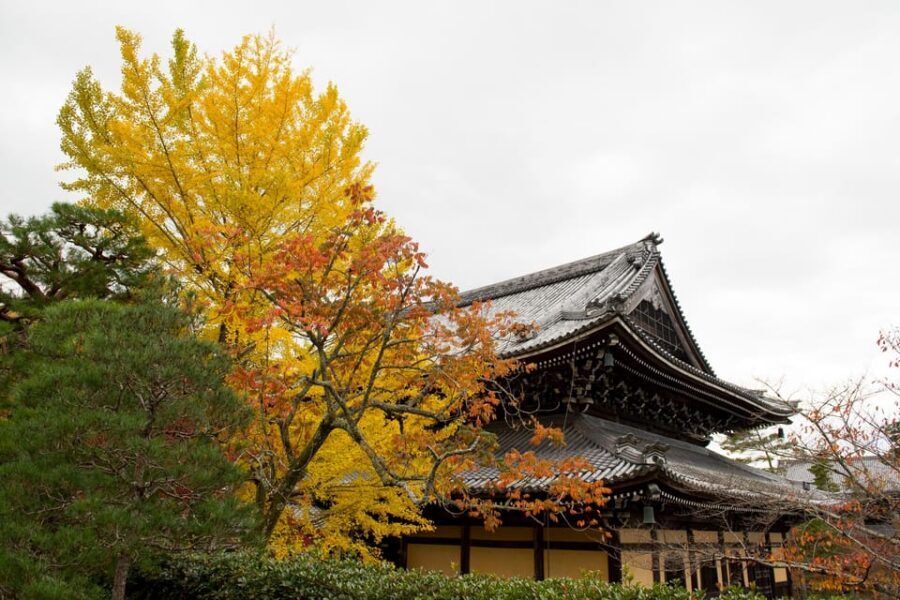 Kyoto: Authentic Biking Half Day Experience - Getting started at Subway Gojo Station exit 2