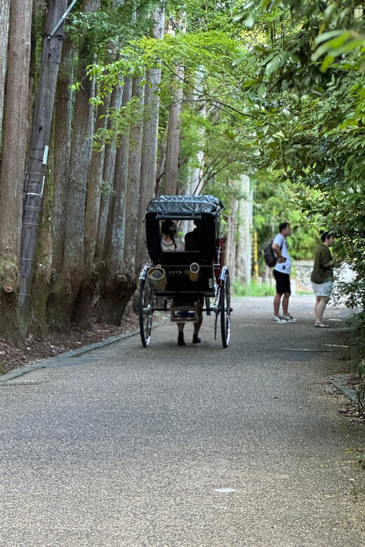 Kyoto: Avoid the Crowds at the Hidden Gems of Arashiyama - Getting Away From the Main Crowd in Arashiyama