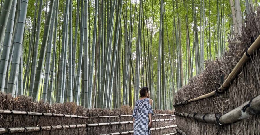 Kyoto: Avoid the Crowds at the Hidden Gems of Arashiyama - Togetsukyo Bridge: The Classic View, Done the Smart Way