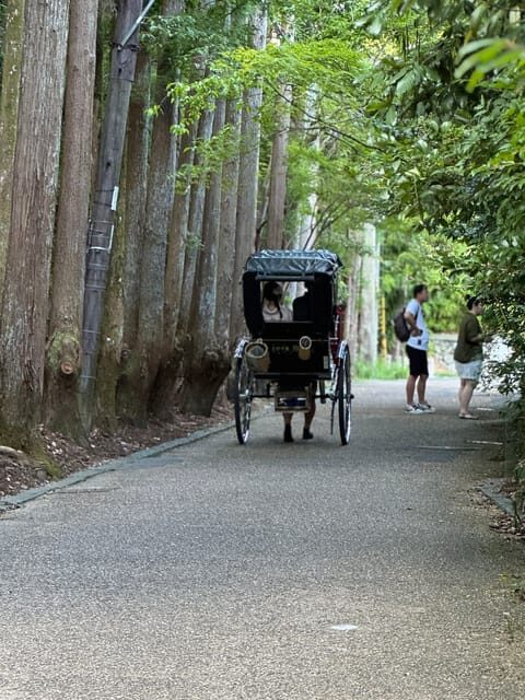 Kyoto: Avoid the Crowds at the Hidden Gems of Arashiyama - Meeting Point, Group Style, and the Walking Reality