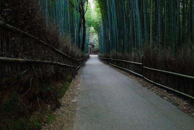 Kyoto Bamboo Forest & Golden Pavilion E-Bike Tour - Tenryu-ji Temple’s Zen Garden: Where the Ride Becomes Quiet
