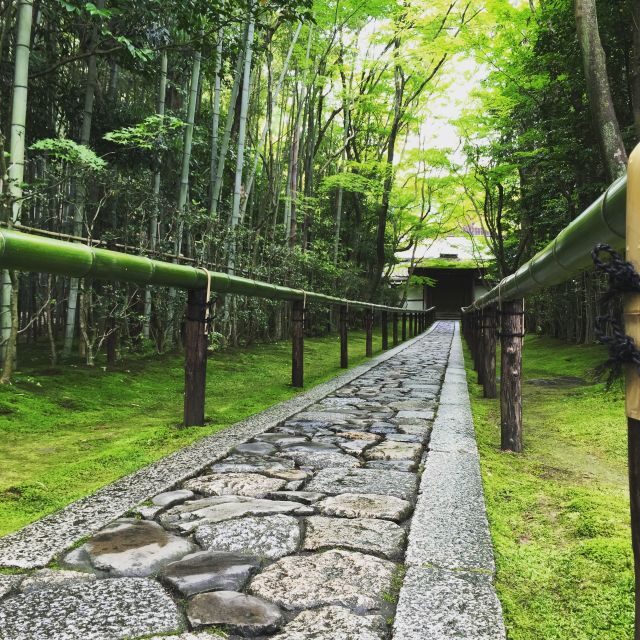 Kyoto: City Secrets eBike Tour - Zen Gardens: The Calm Part You’ll Feel in Your Body