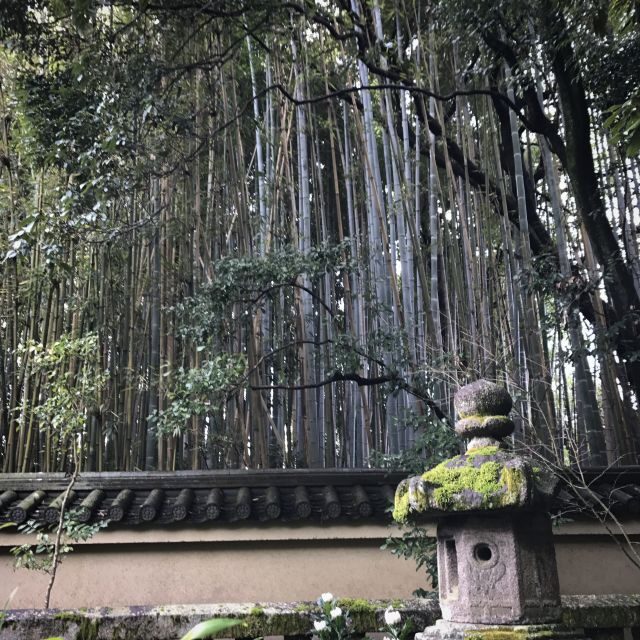 Kyoto: City Secrets eBike Tour - Tea Ceremony at Daitoku-ji (and Why It’s More Than a Break)