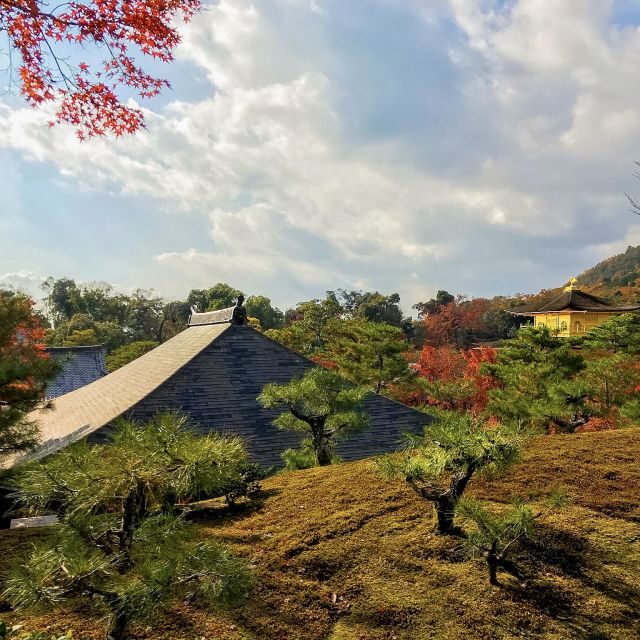 Kyoto: City Secrets eBike Tour - Safety and Pace: Why the Small Group Matters on Kyoto Streets