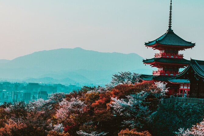 Kyoto Custom Private Walking Tour with A Guide (Private Tour) - Key points to know before you book
