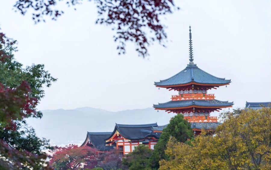 Kyoto: Customizable Full-Day Tour with Privarte Transfers - A private Kyoto day built around your pace