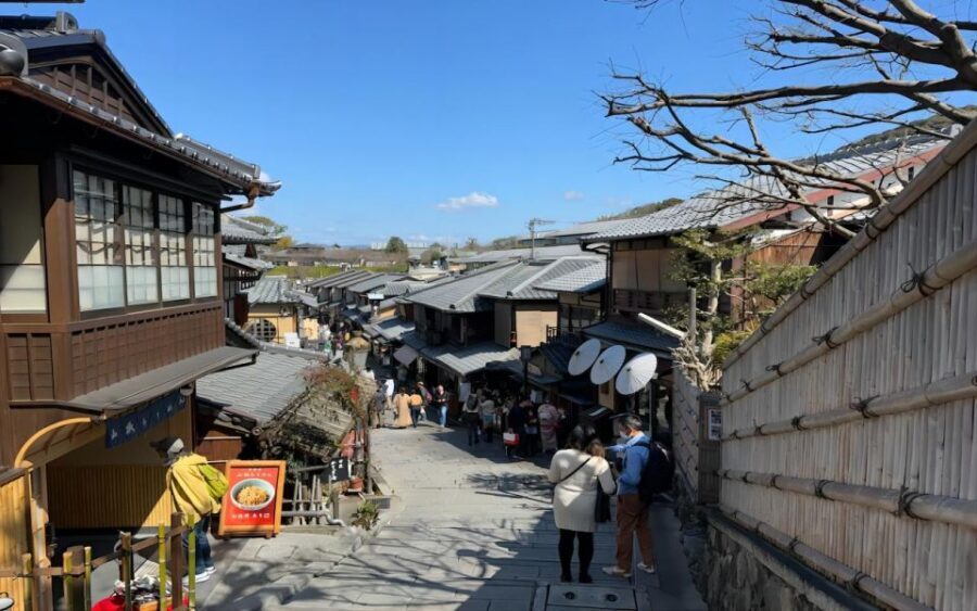 Kyoto: Customizable Full-Day Tour with Privarte Transfers - The driver vs the guide: your language expectations