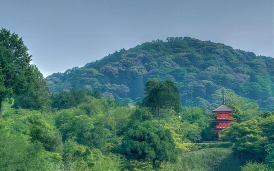 Kyoto: Customizable Full-Day Tour with Privarte Transfers - How the 10 hours usually feel: a realistic rhythm