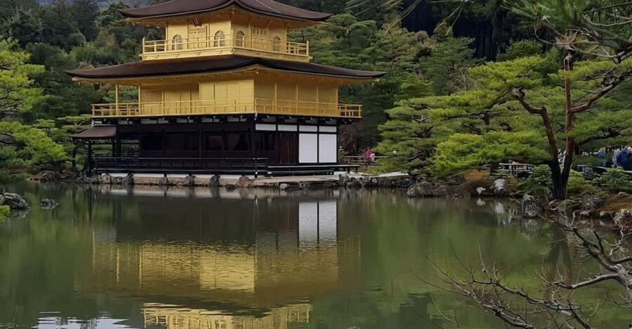 Kyoto: Customized One Day Car tour - Quick hits before you go
