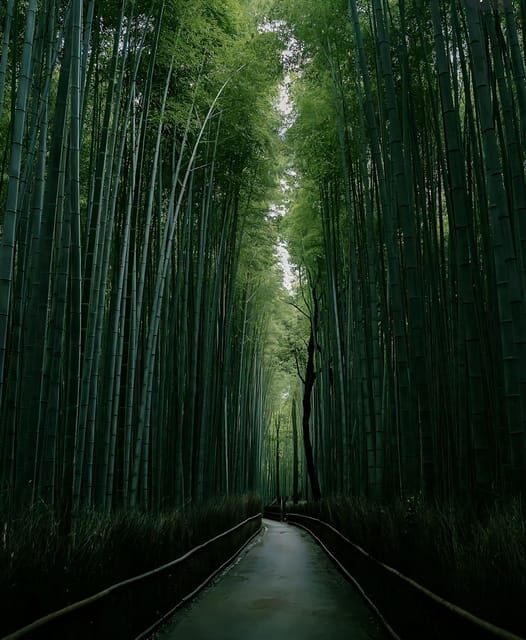 Kyoto: Customized One Day Car tour - Price and value: $419 per group up to 5, with real costs included
