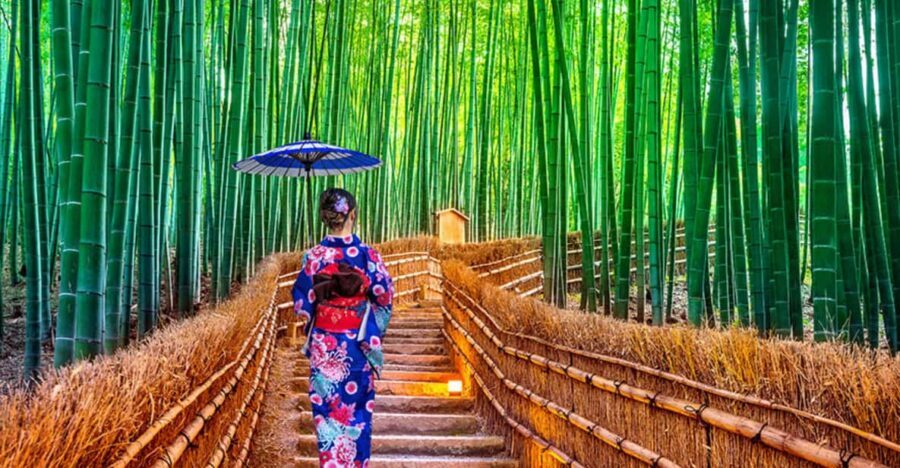 Kyoto Day Tour with Certified Tour Guide & Luxury vehicle - Key highlights I’d focus on